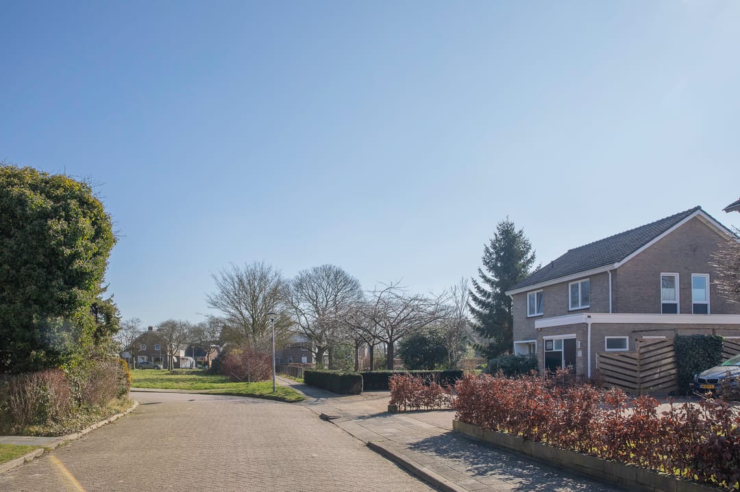 Foto 38 van Lesturgeonstraat 1