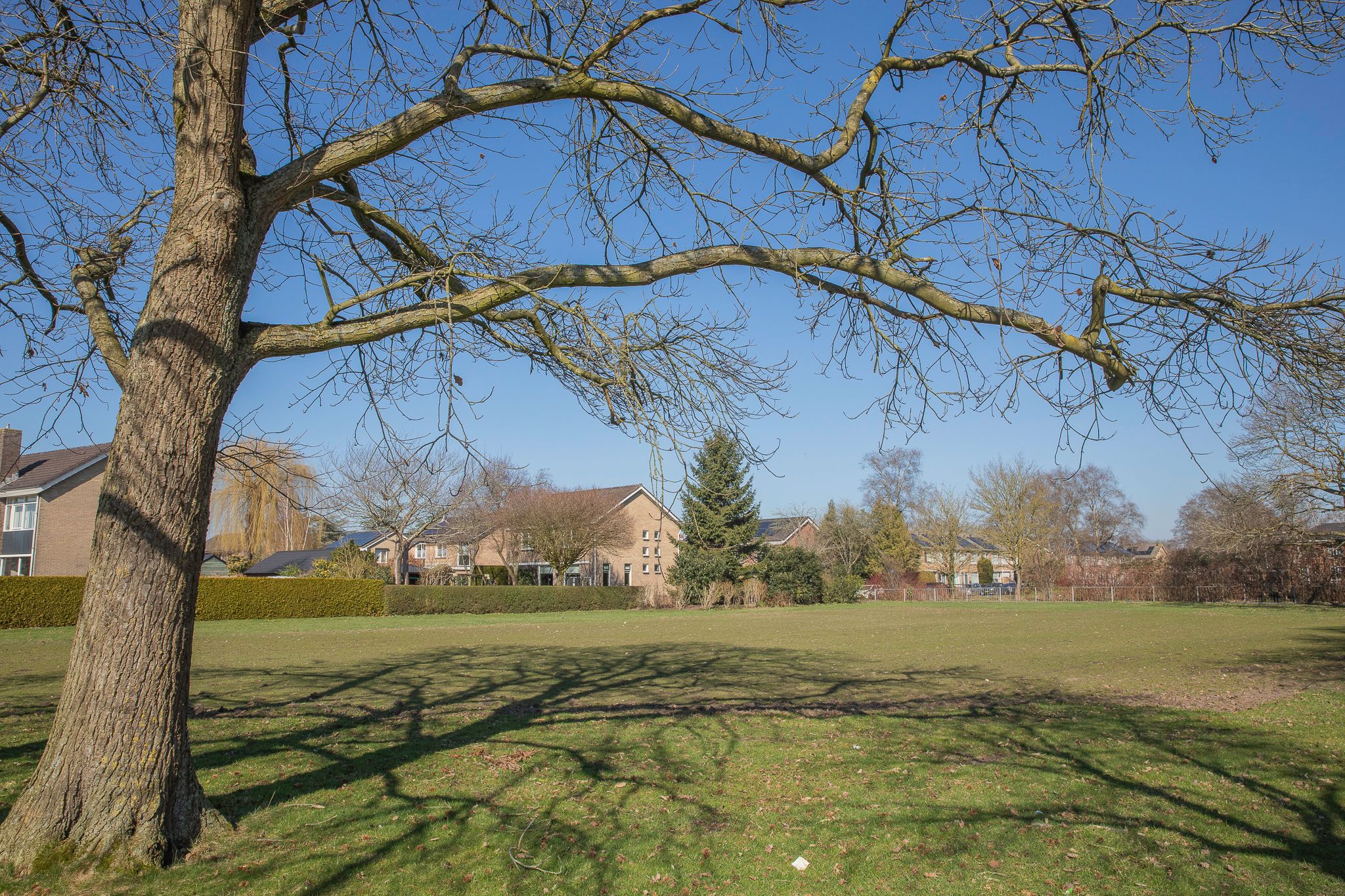 Foto 57 van Lesturgeonstraat 1