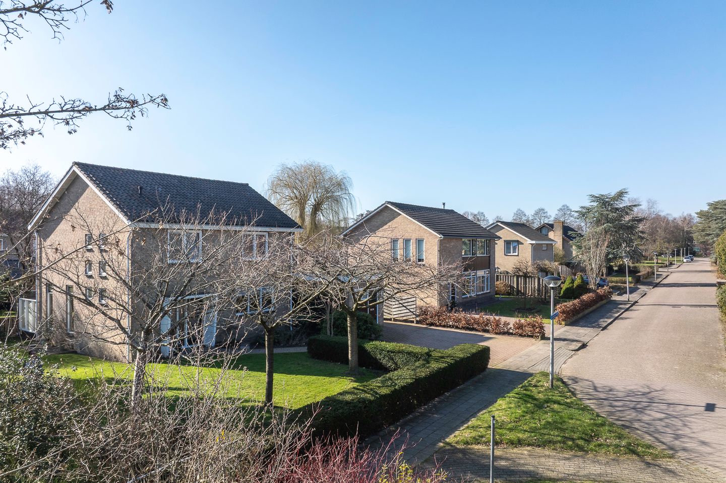 Foto 64 van Lesturgeonstraat 1