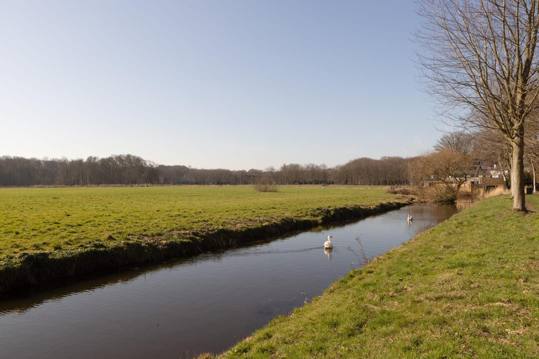 Foto 2 van Leendert Meeszstraat 98