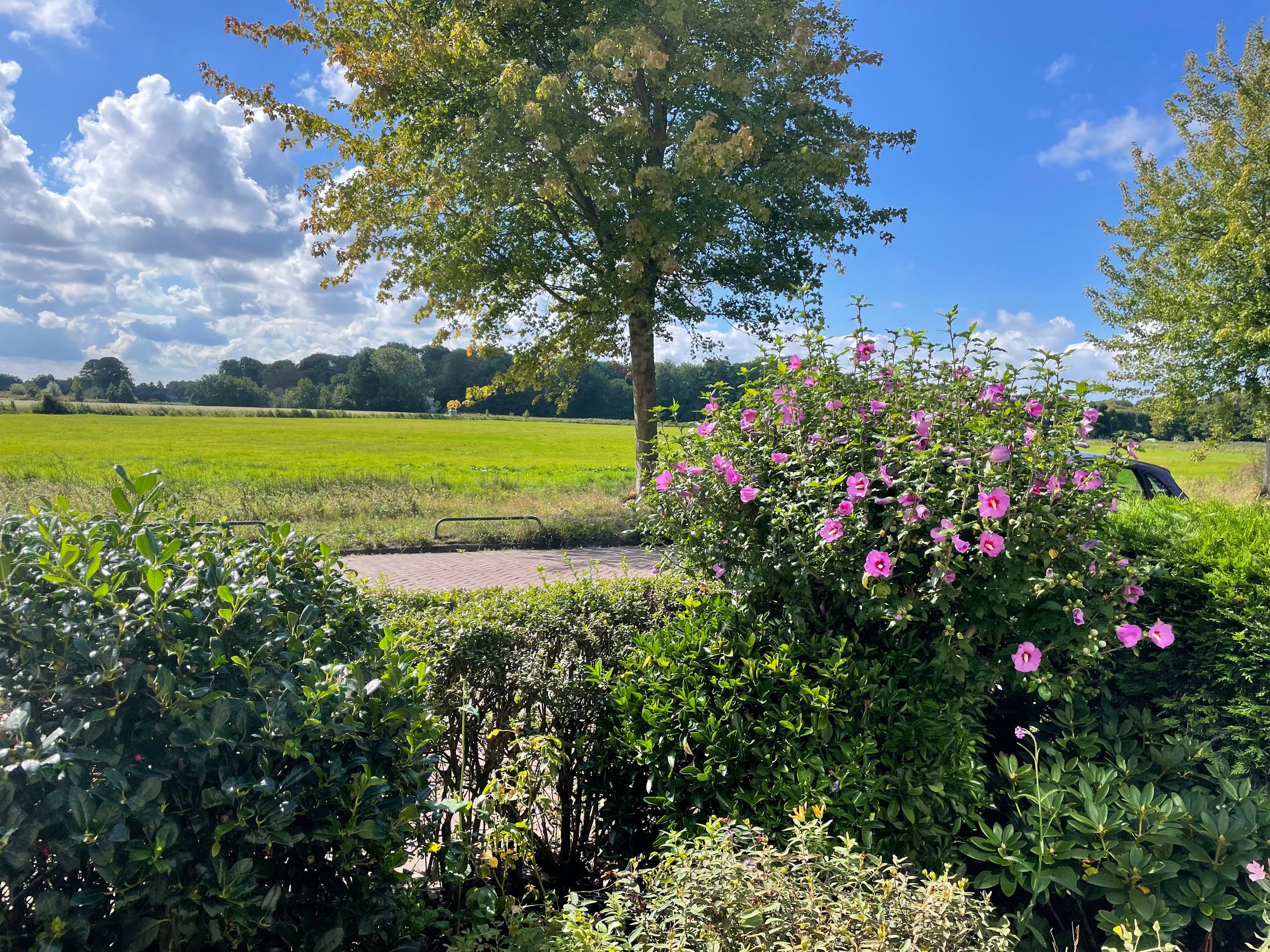 Foto 6 van Leendert Meeszstraat 98