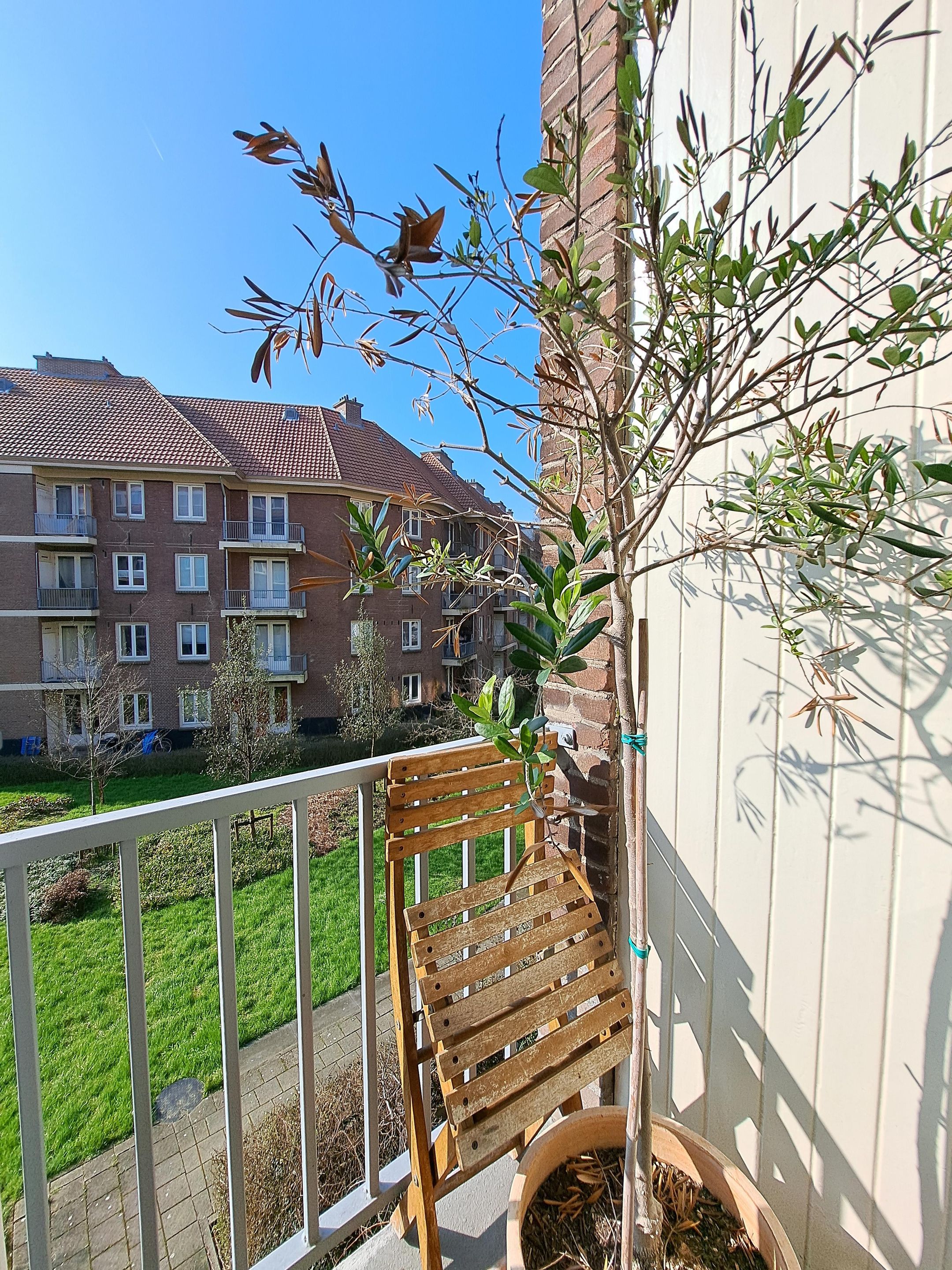 Photo 15 of Spaarndammerdijk 35-B