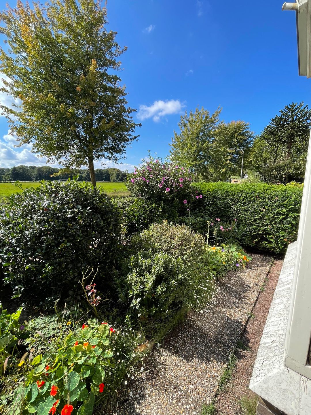 Foto 37 van Leendert Meeszstraat 98