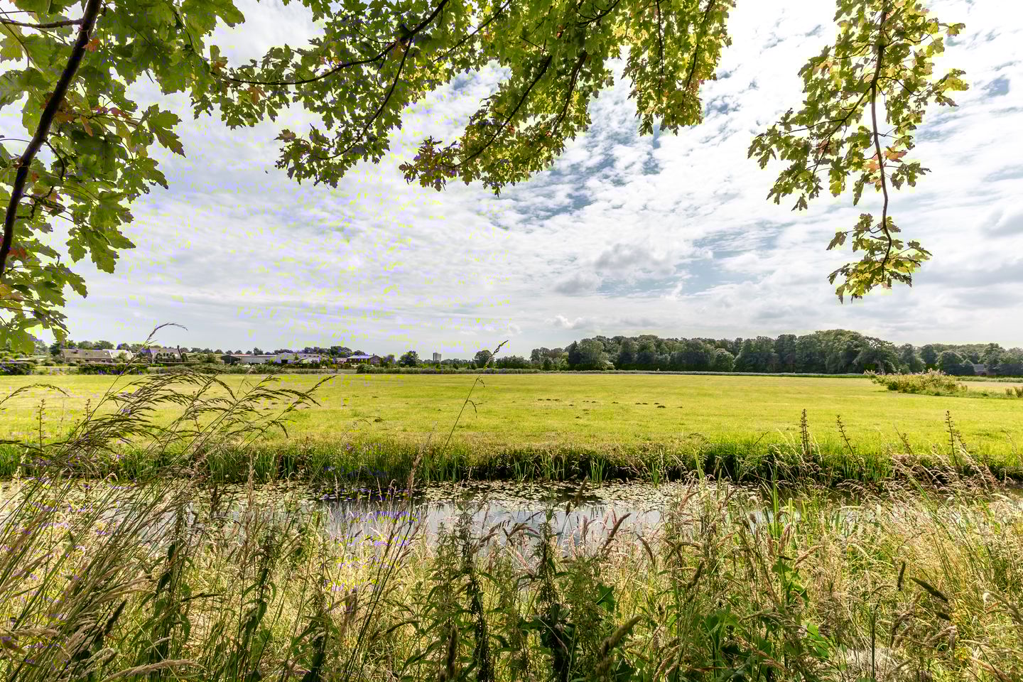 Foto 40 van Leendert Meeszstraat 98