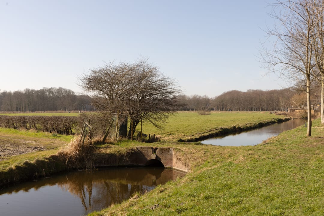 Foto 41 van Leendert Meeszstraat 98