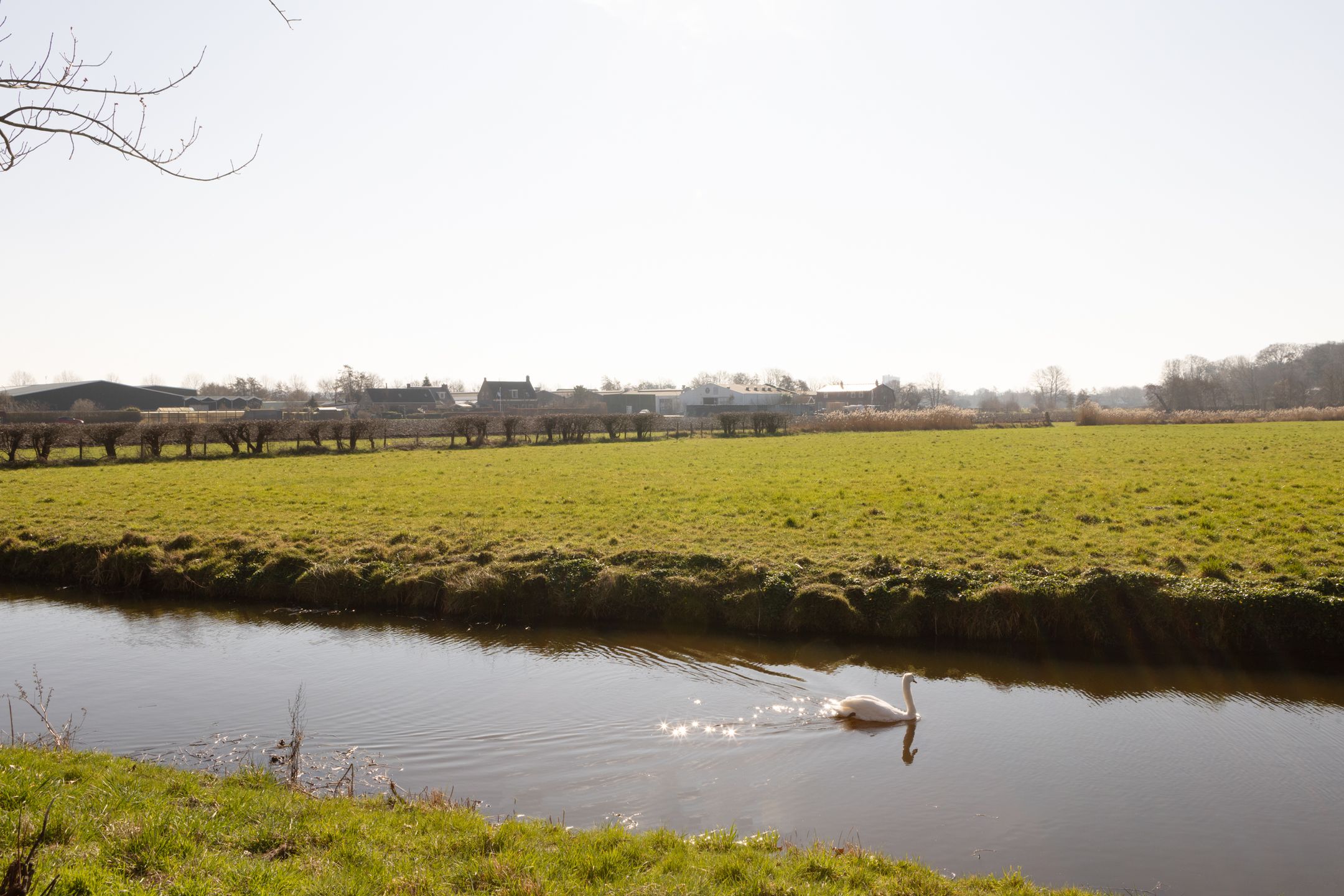 Foto 42 van Leendert Meeszstraat 98