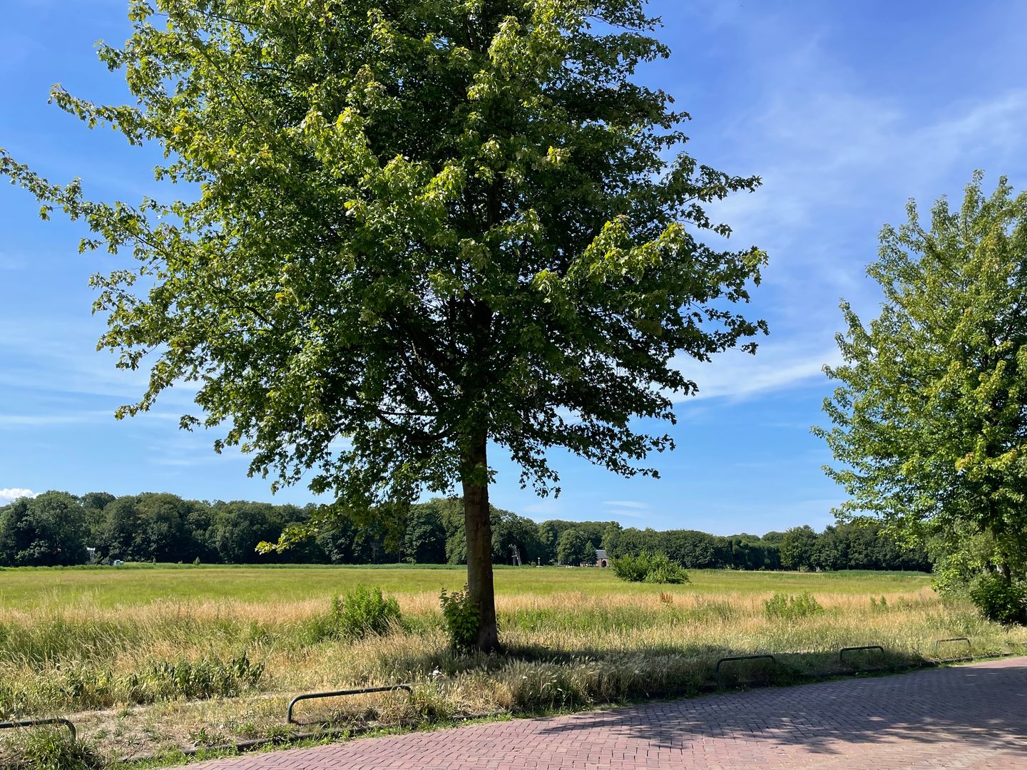 Foto 50 van Leendert Meeszstraat 98