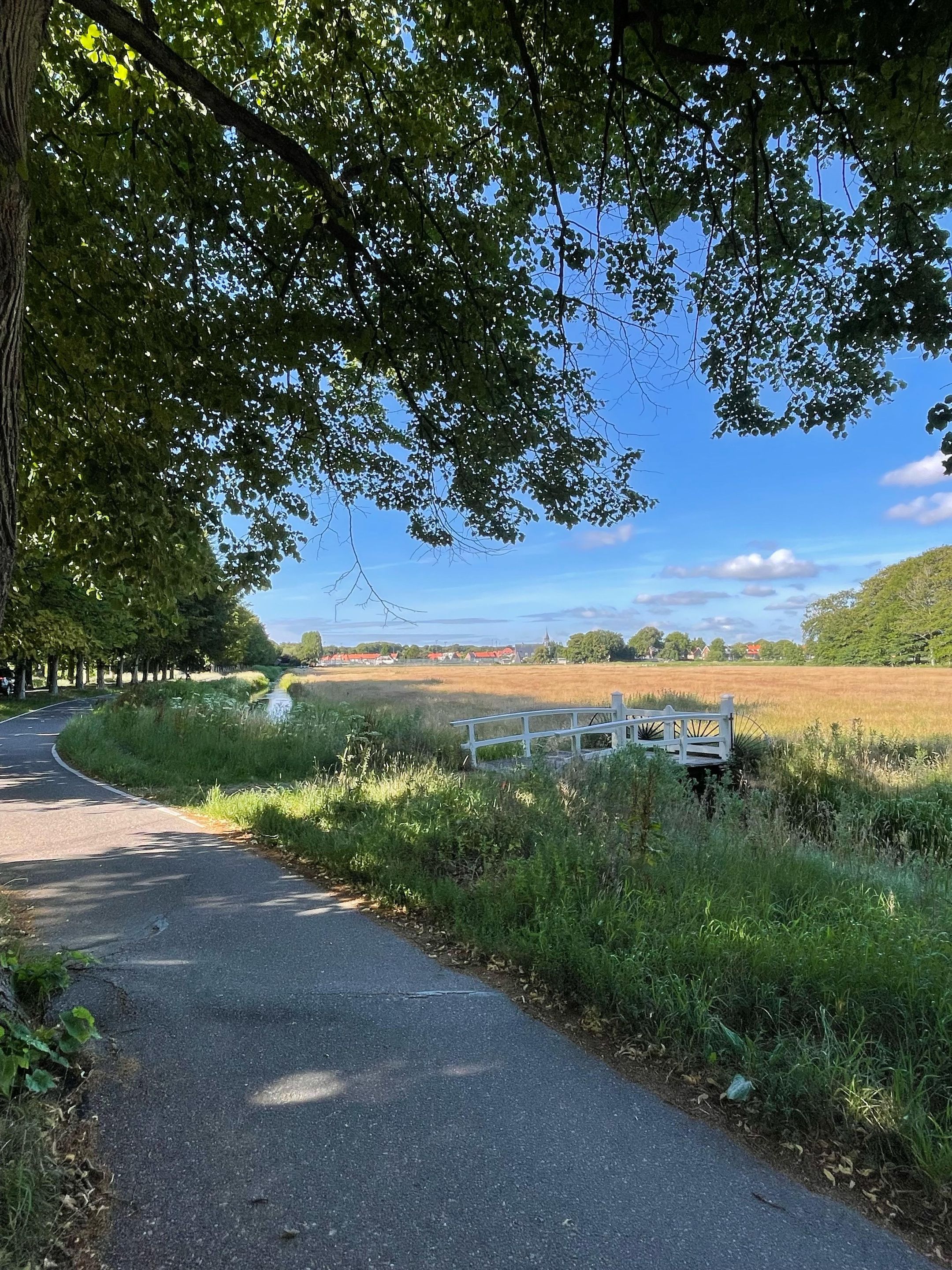 Foto 51 van Leendert Meeszstraat 98