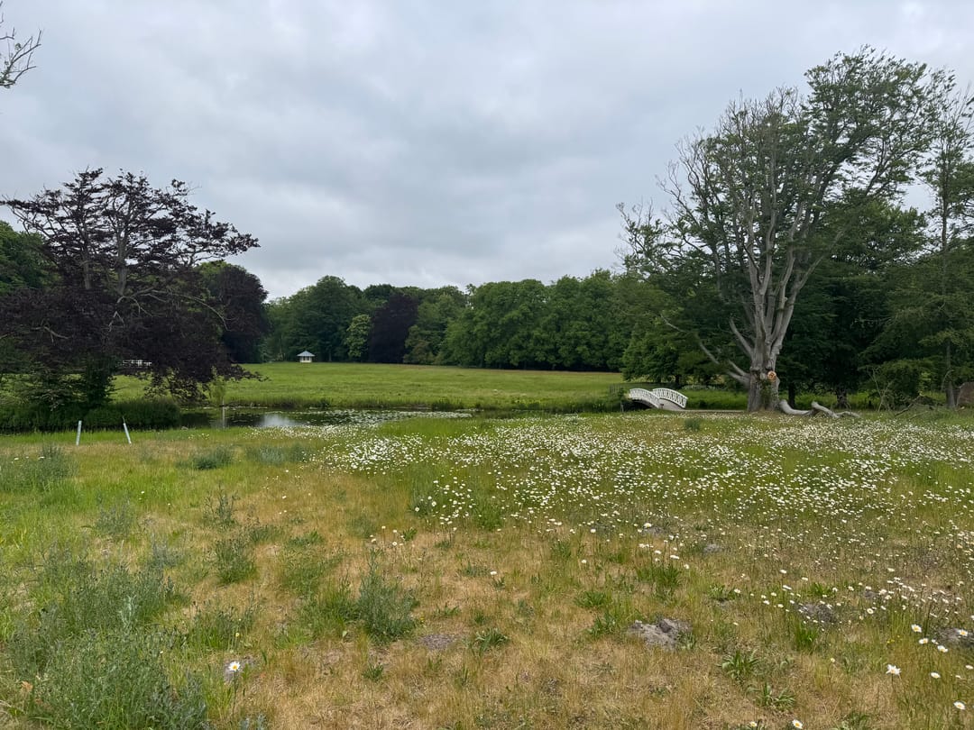 Foto 52 van Leendert Meeszstraat 98