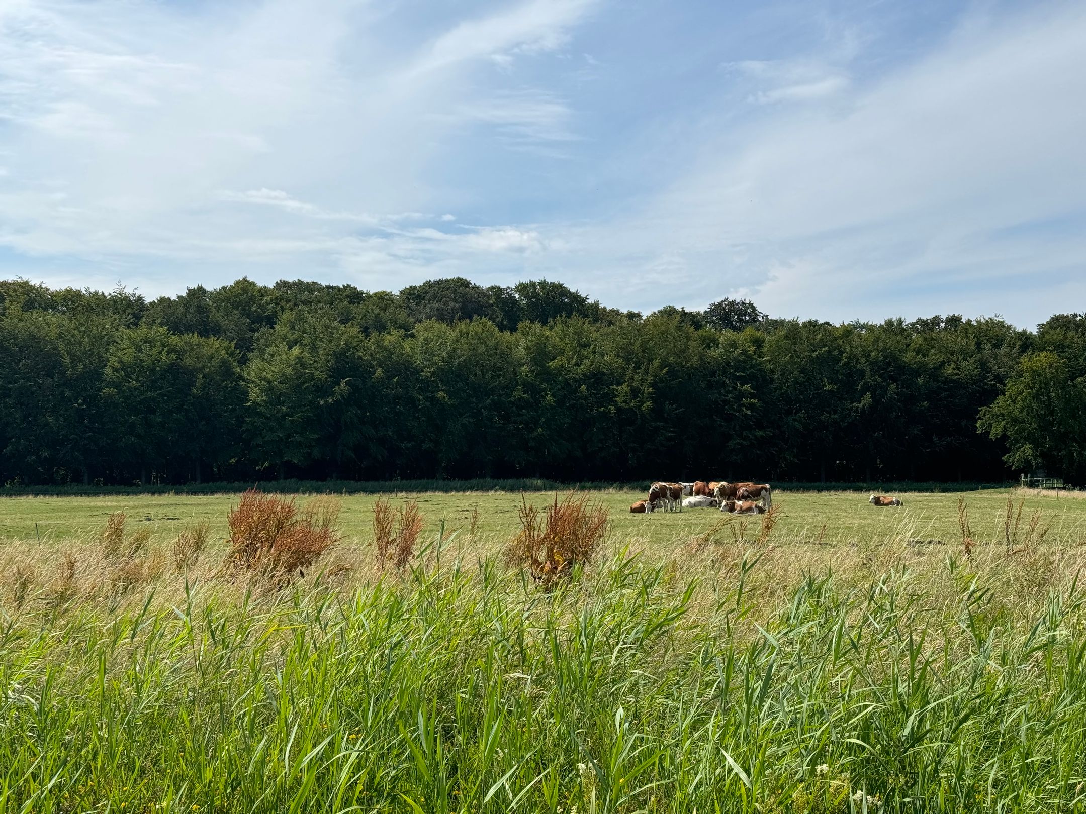 Foto 54 van Leendert Meeszstraat 98