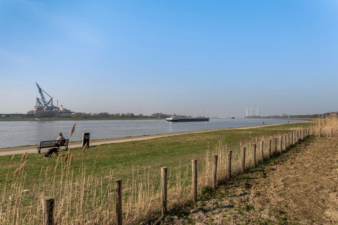 Photo 47 of Merellaan 91