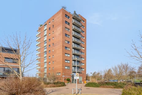 Bisonstraat 74 secondary image