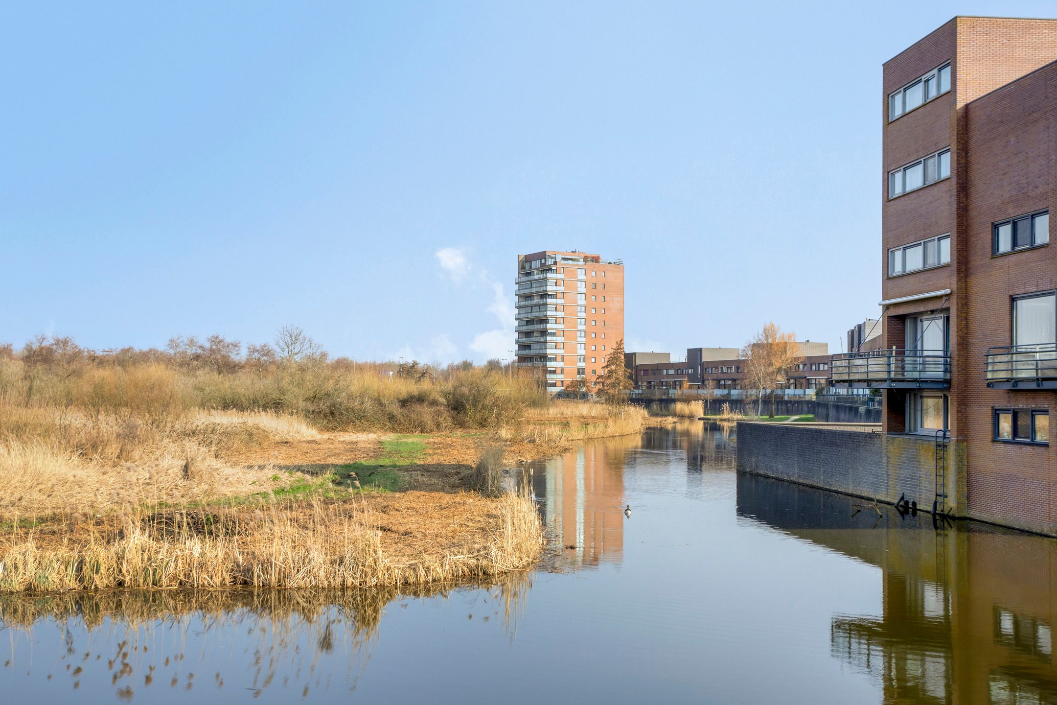 Foto 6 van Bisonstraat 74