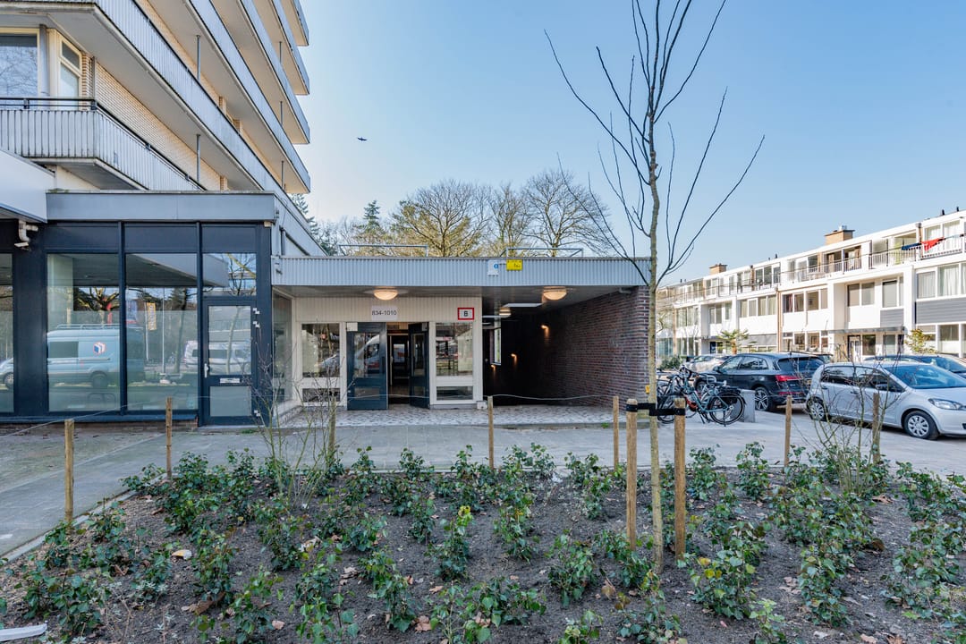 Foto 2 van Laan van Vollenhove 934