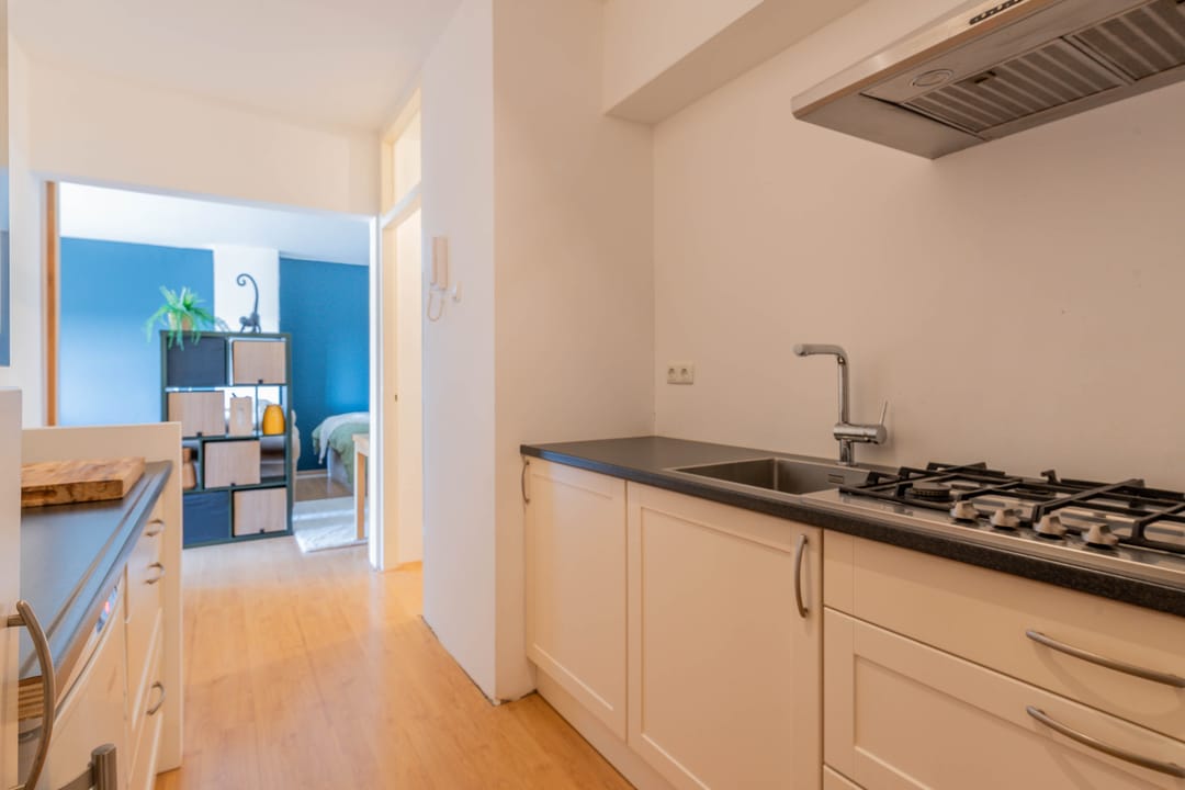 Foto 16 van Laan van Vollenhove 934