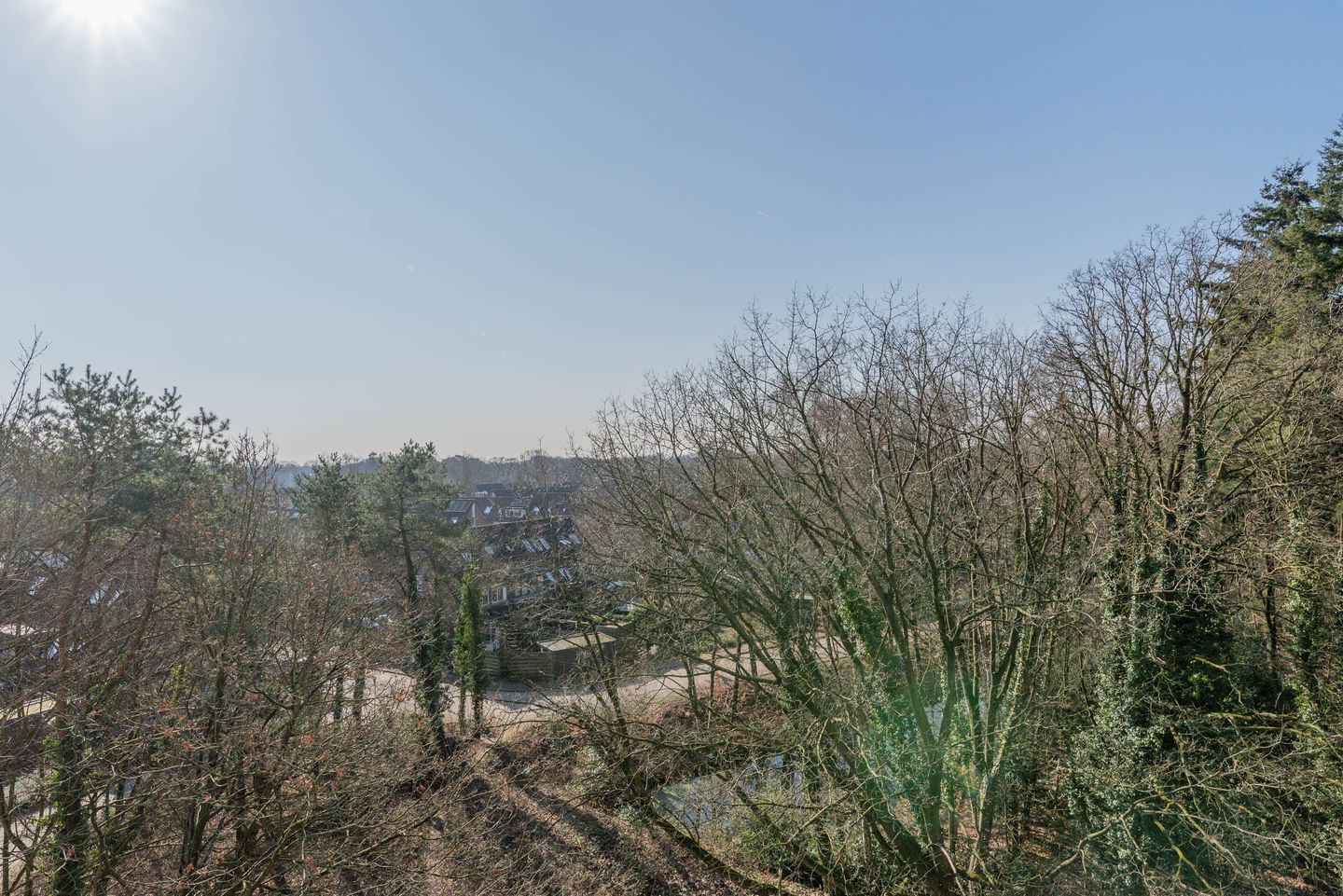 Foto 19 van Laan van Vollenhove 934