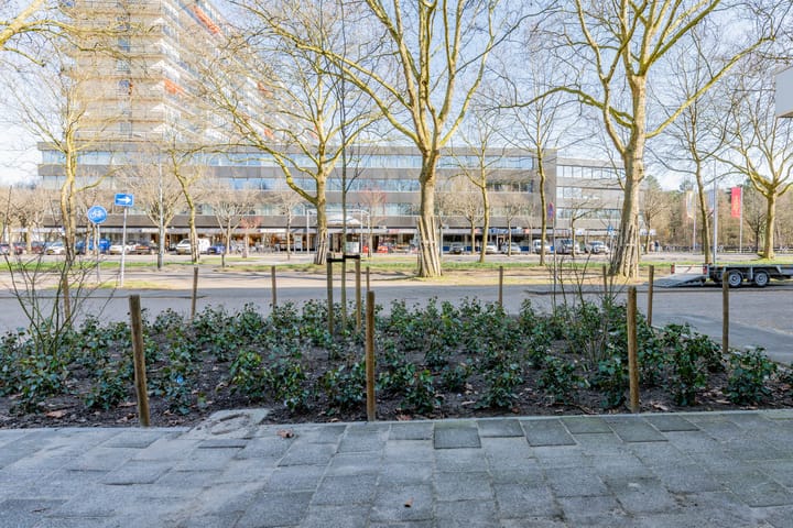 Foto 5 van Laan van Vollenhove 934