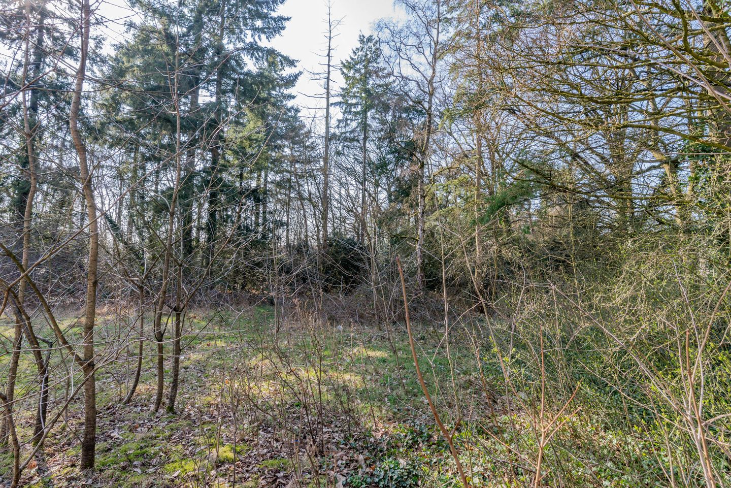 Foto 20 van Laan van Vollenhove 934