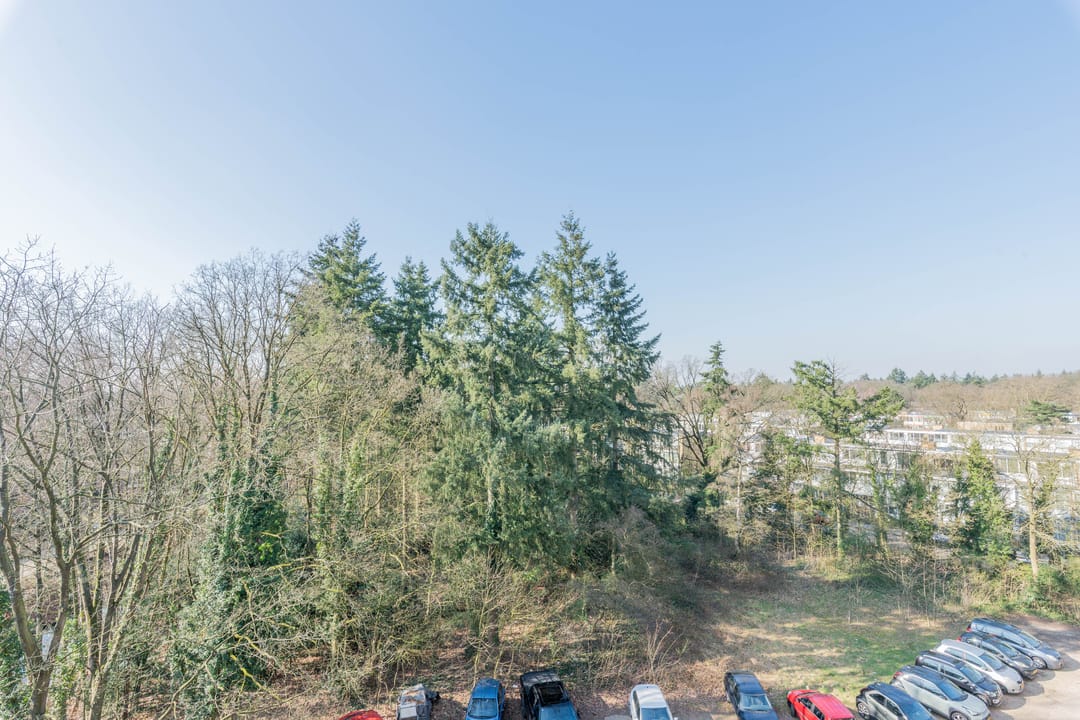 Foto 22 van Laan van Vollenhove 934