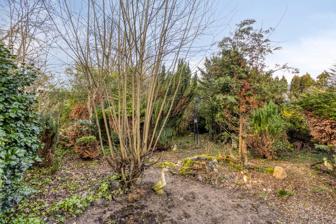 Foto 32 van Koningin Julianastraat 4