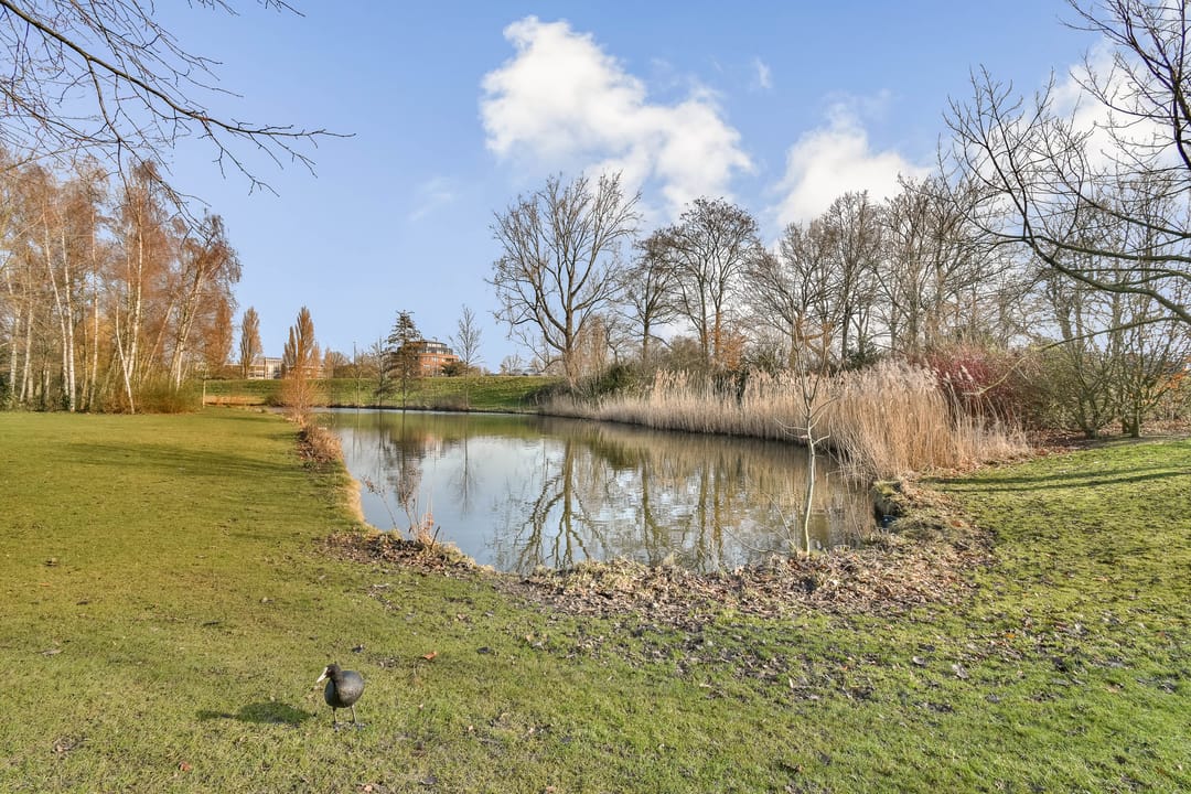 Foto 22 van Schiedamseweg 176