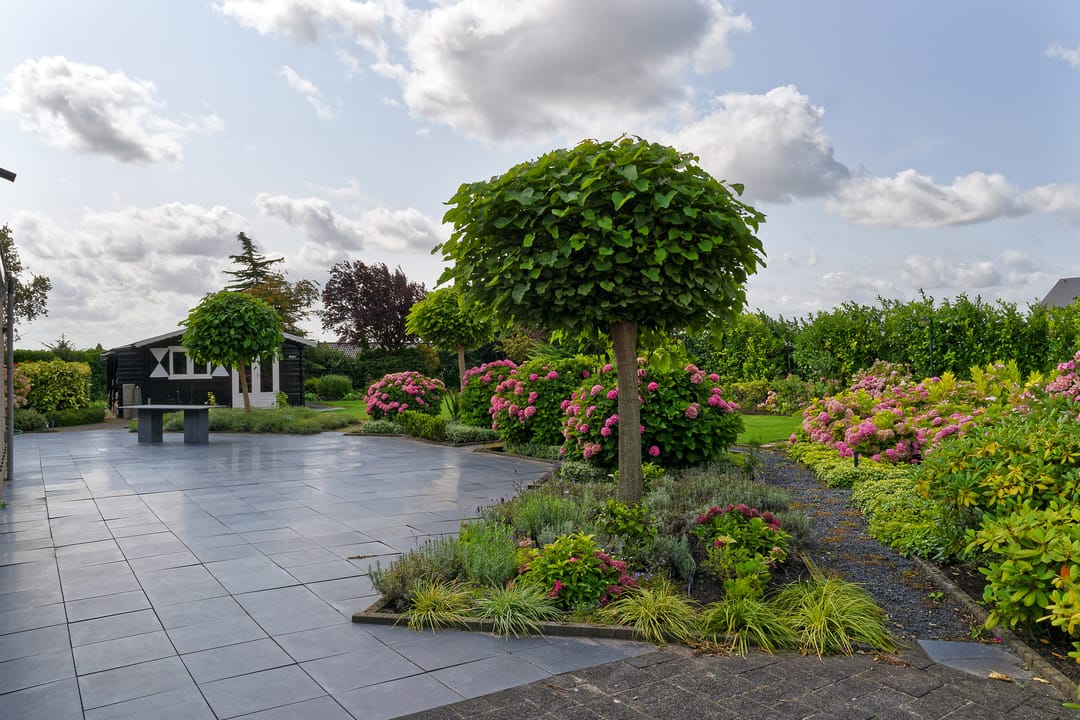 Photo 43 of Meerewijck 15