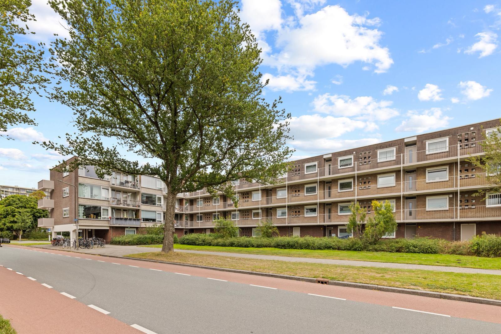 Camera Obscuralaan 364 