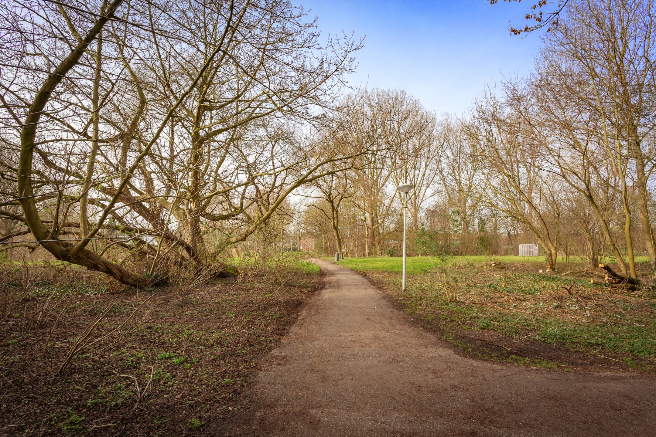 Foto 54 van Lobo-Braakensiekstraat 66