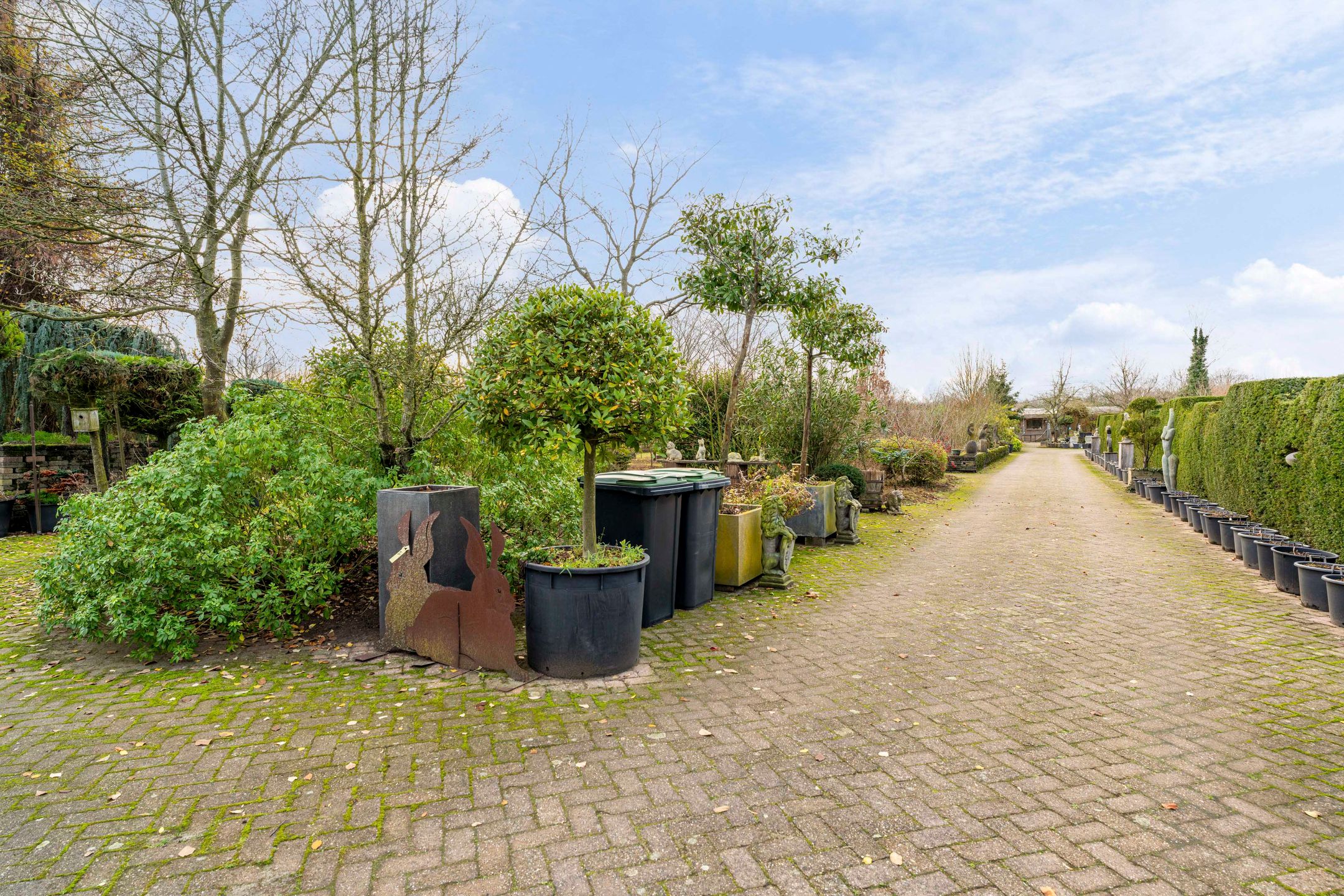 Foto 6 van Esscheweg 274-A