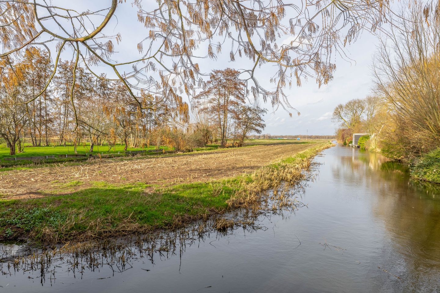 Photo 65 of Middelland 46