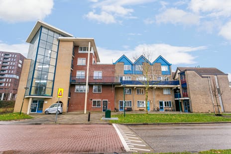 undefined main image