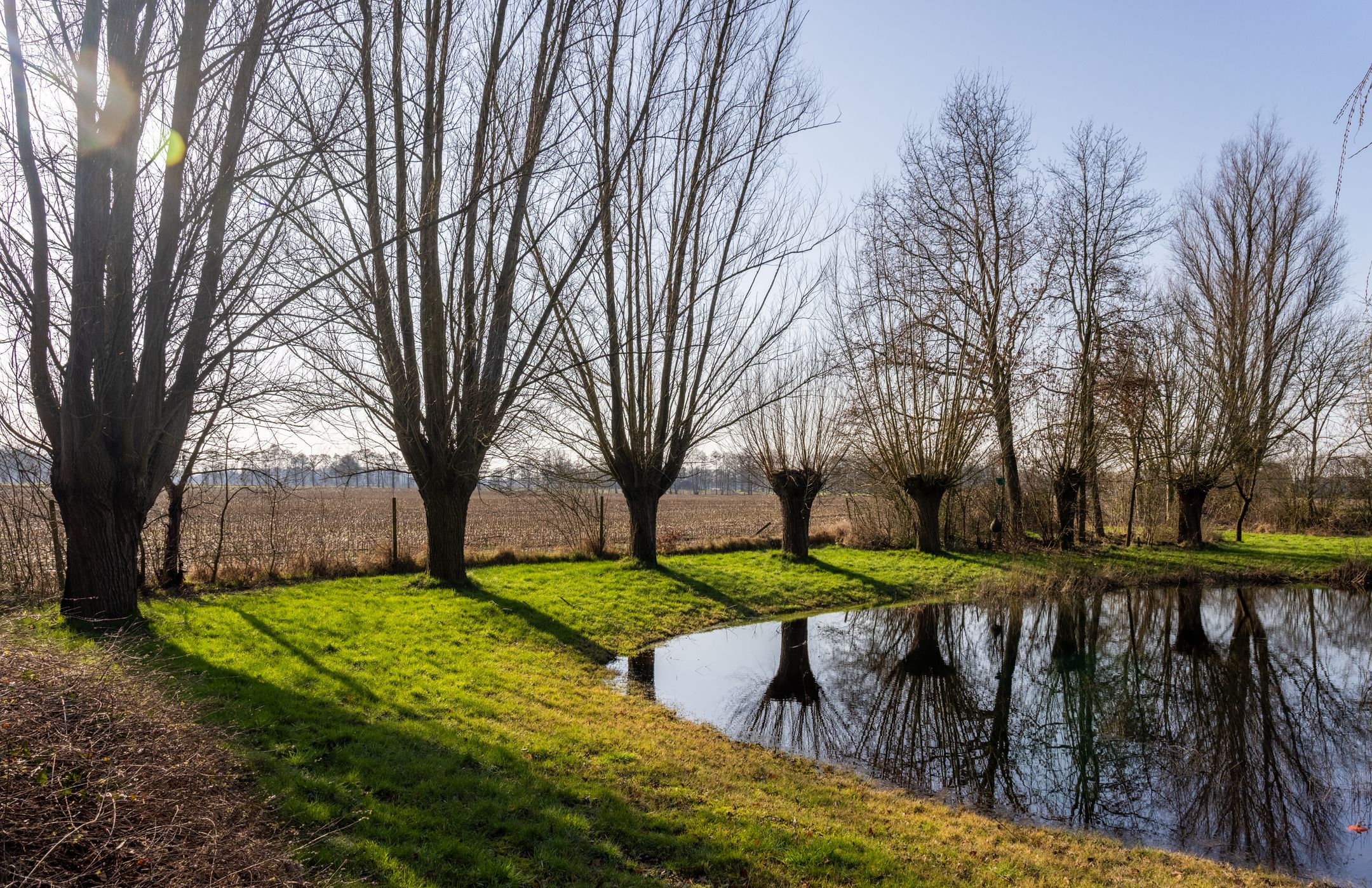 Photo 39 of Sturriskolkweg 16