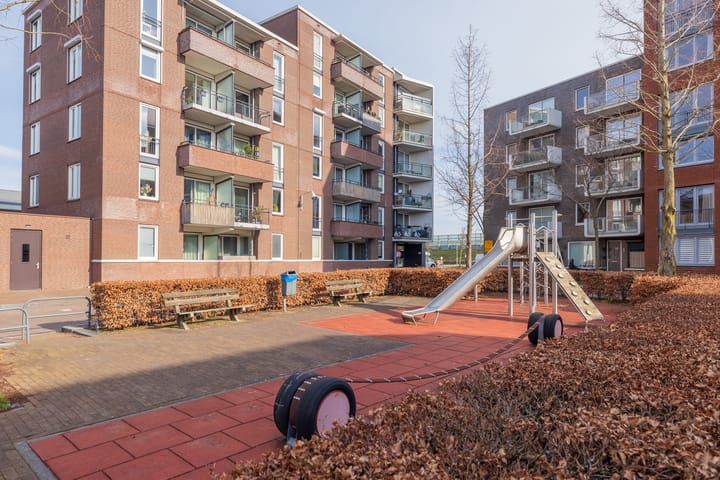 Zilverstein 109 main image