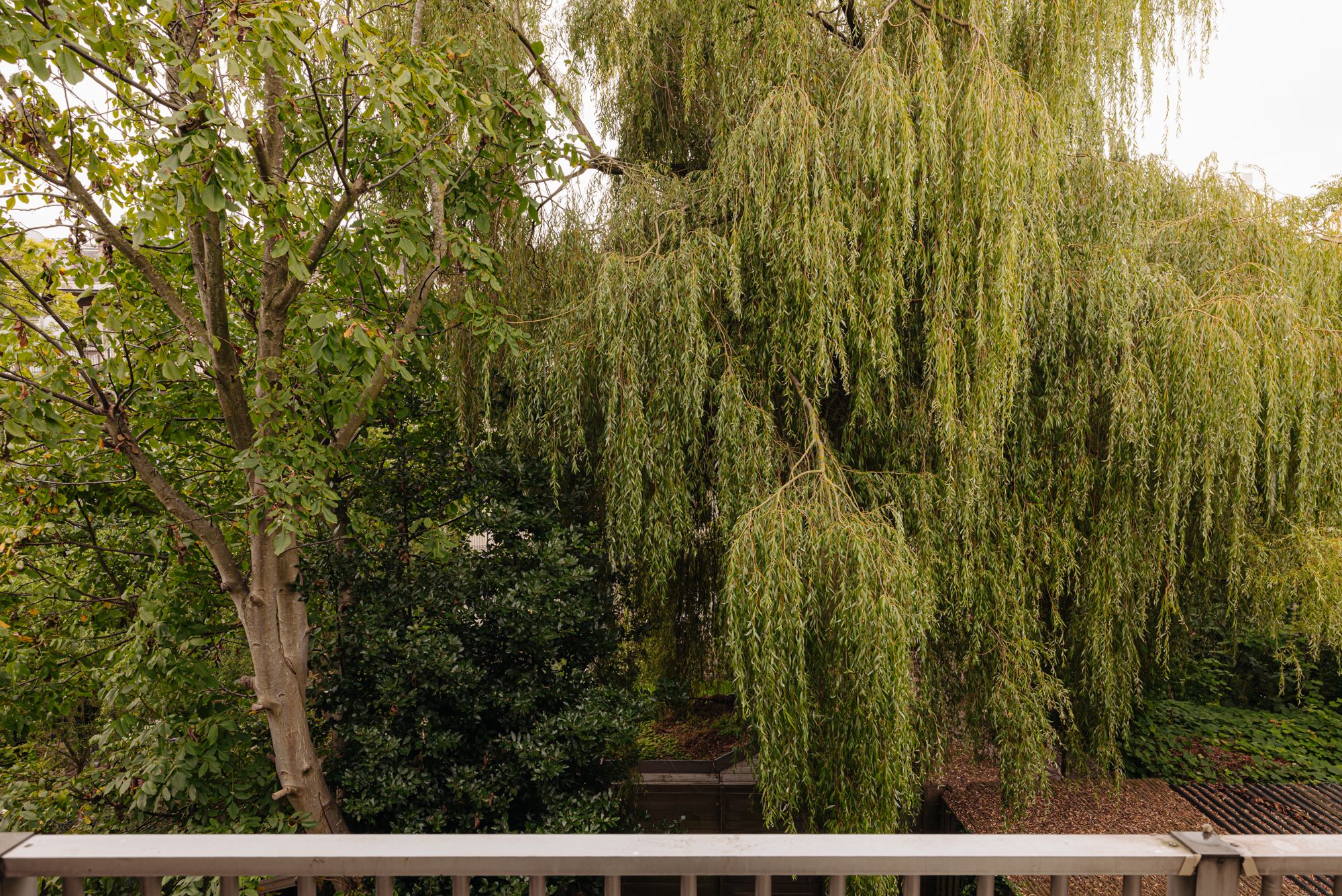 Photo 18 of Bestevâerstraat 259-1