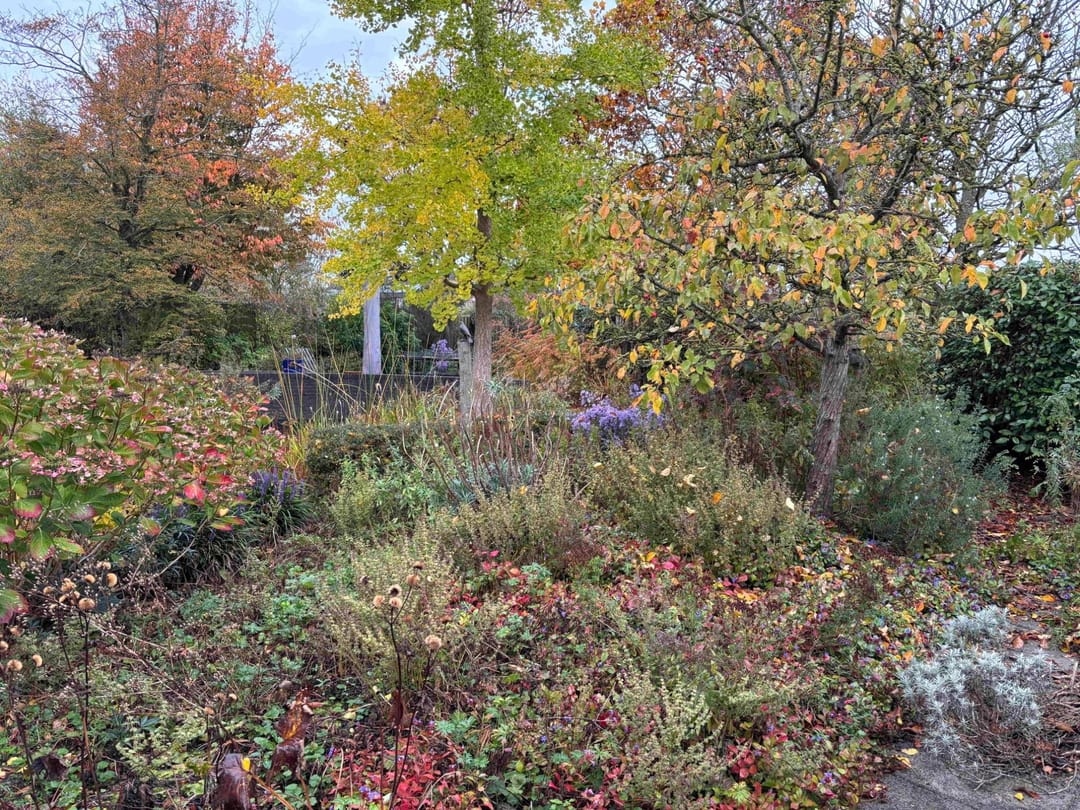 Photo 41 of Kievitstraat 2