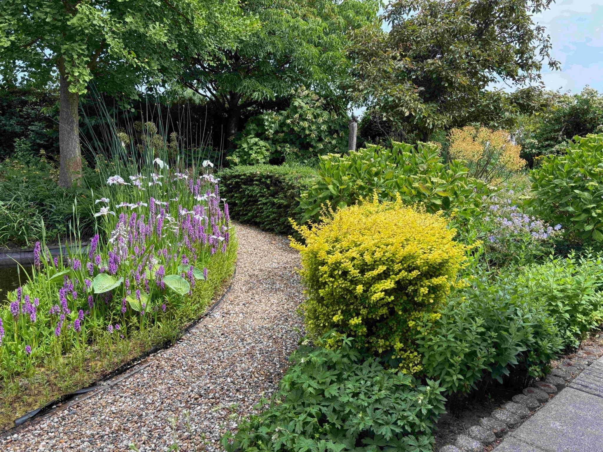 Photo 42 of Kievitstraat 2