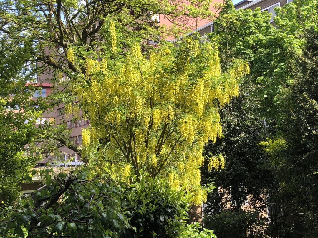 Foto 28 van 's-Gravendijkwal 152-A