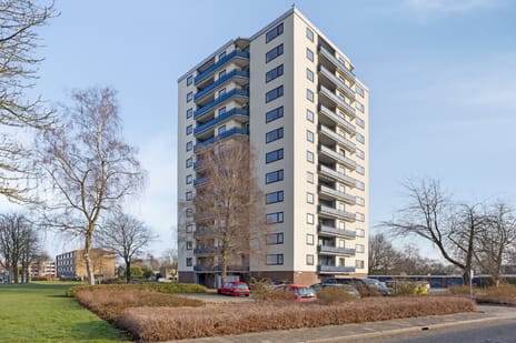 Nobelstraat thumbnail