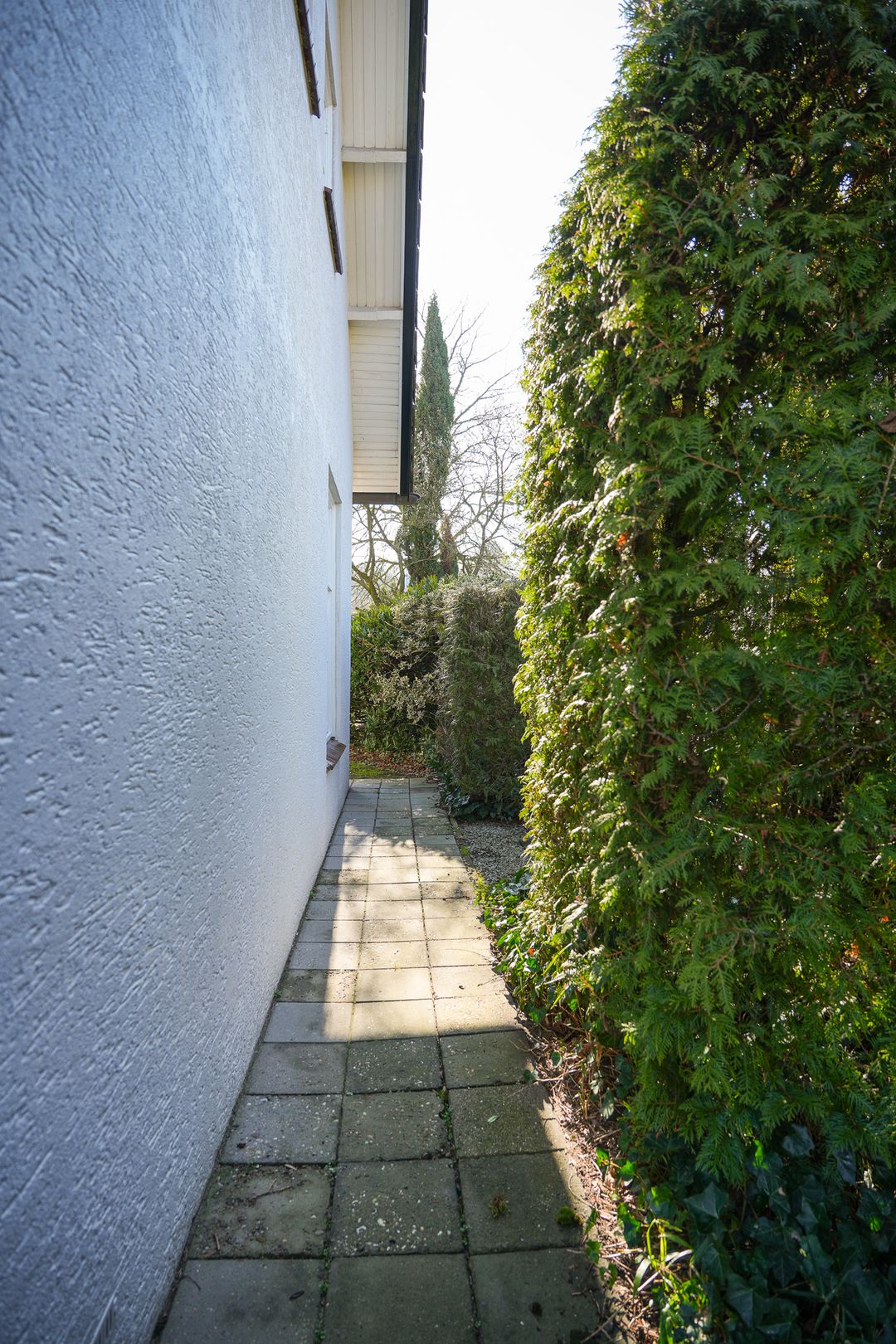 Photo 43 of Zandstraat 24