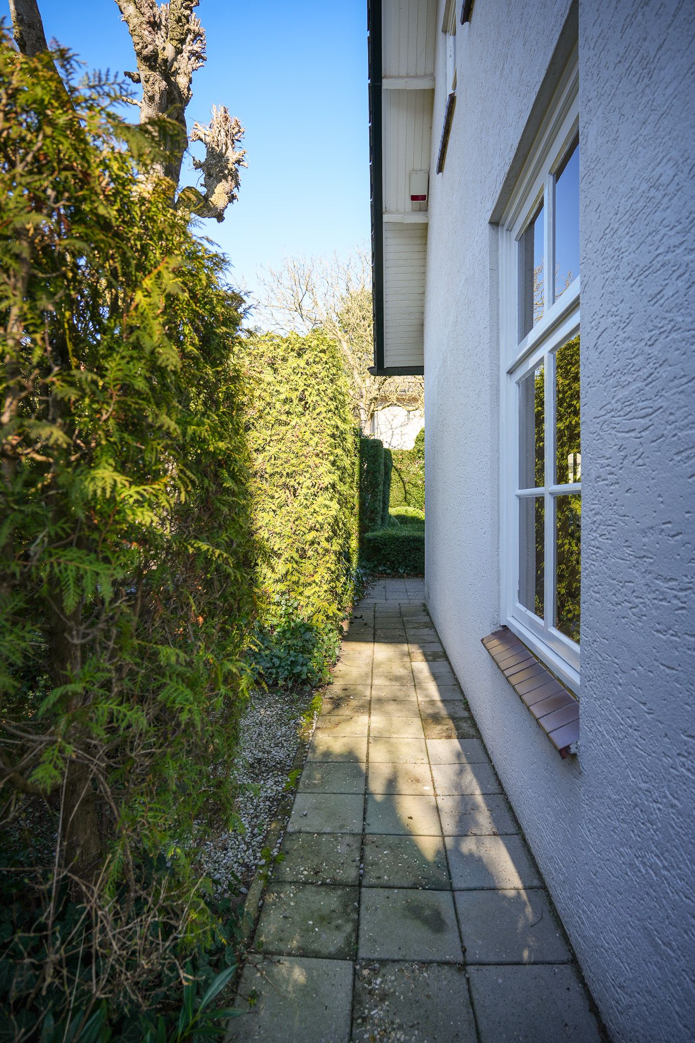 Photo 44 of Zandstraat 24