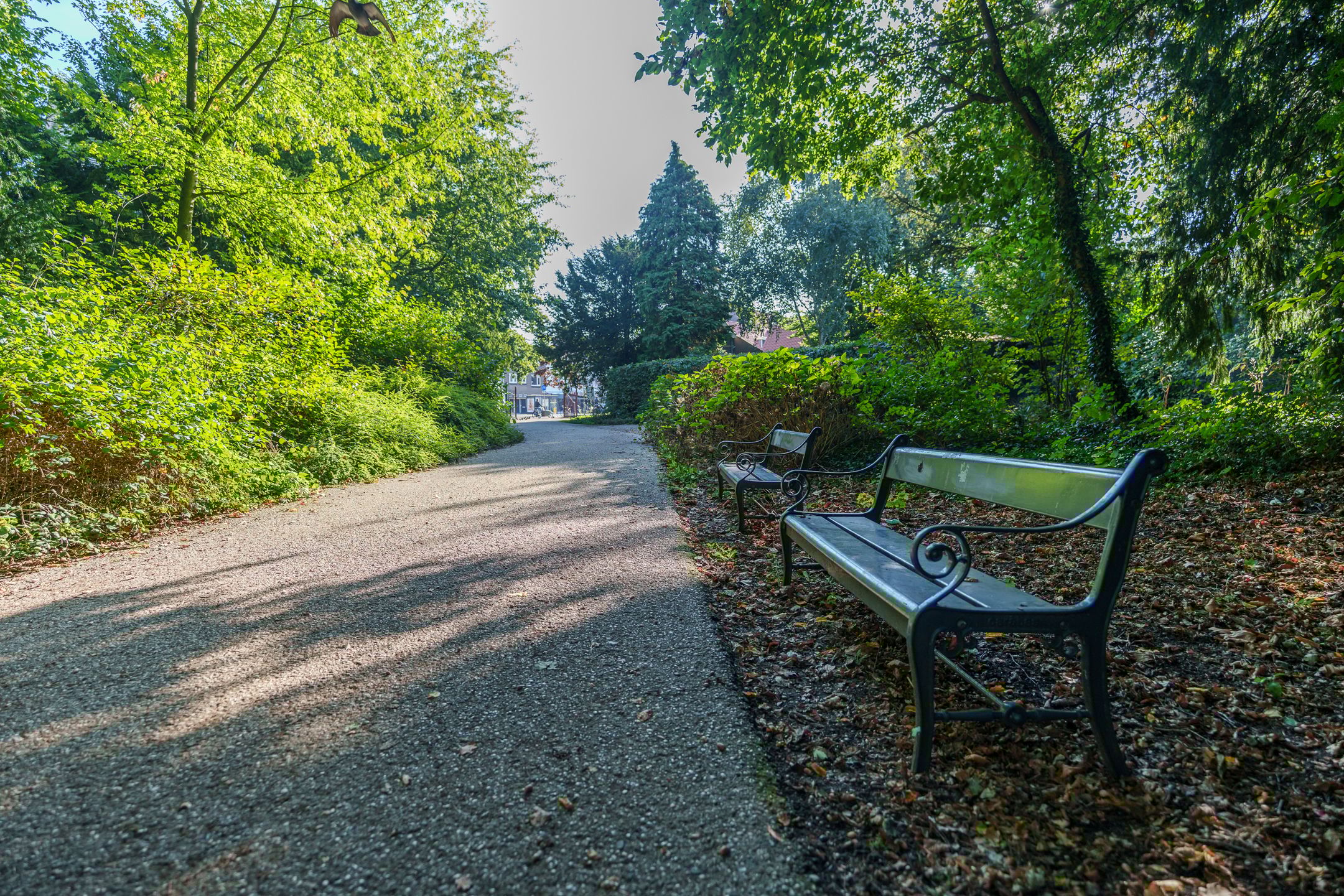 Photo 45 of Werner Helmichstraat 29