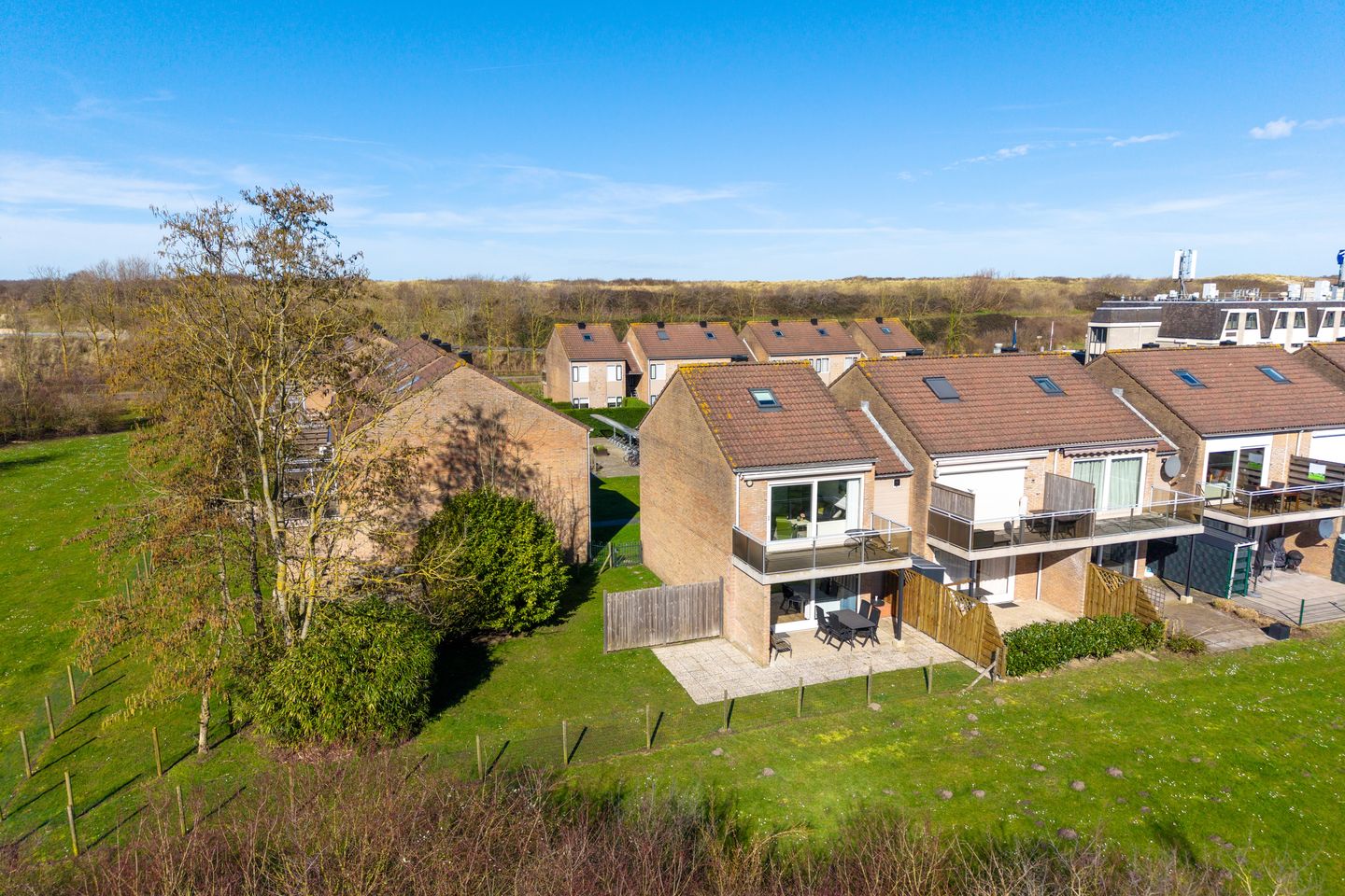 Foto 20 van Schorrebloem 36