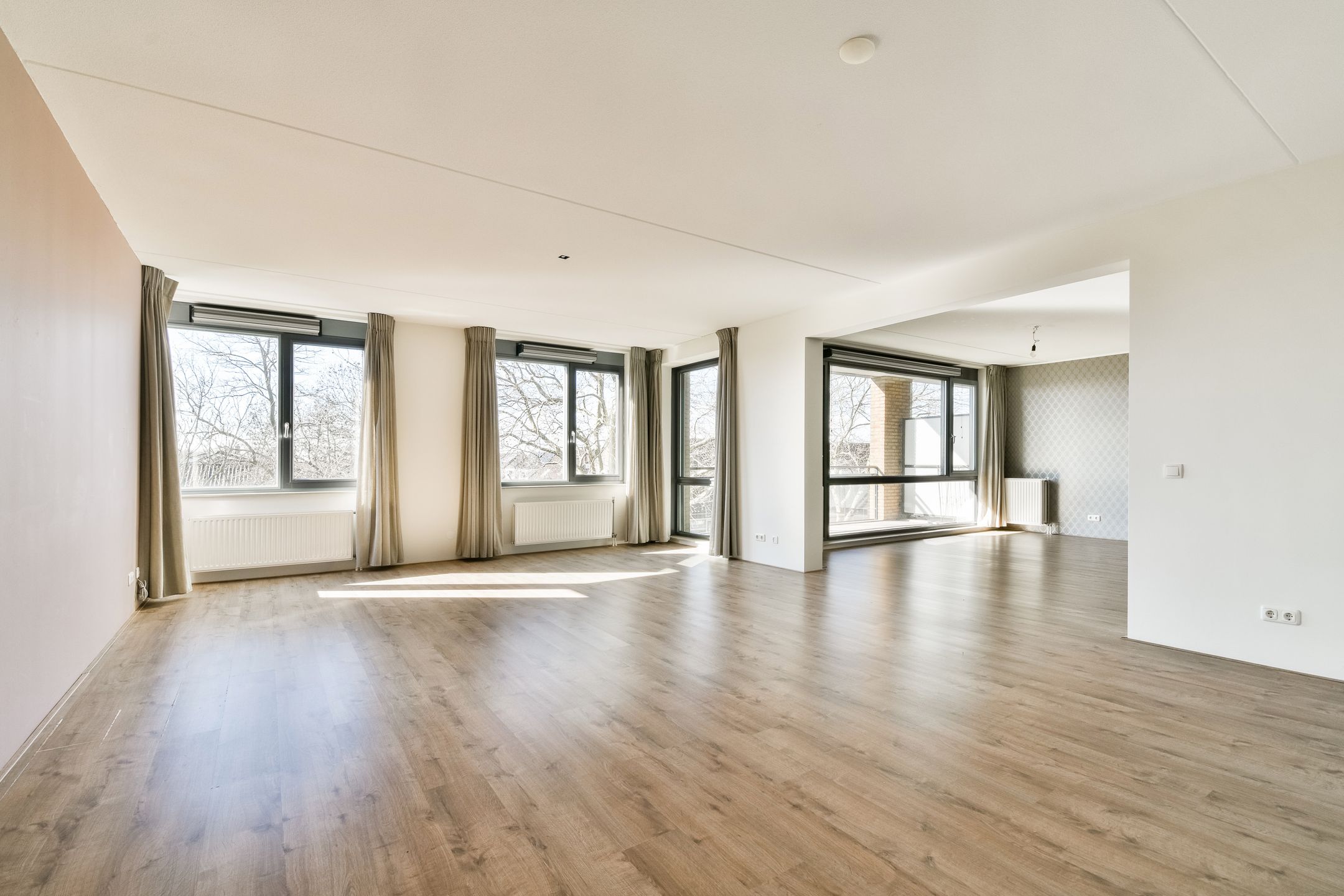 Foto 6 van Populier 36