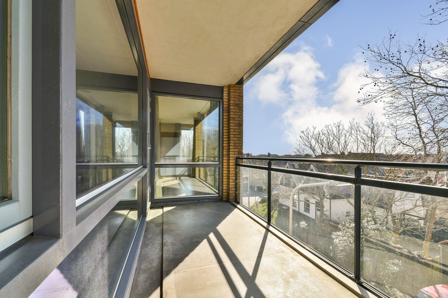 Foto 10 van Populier 36