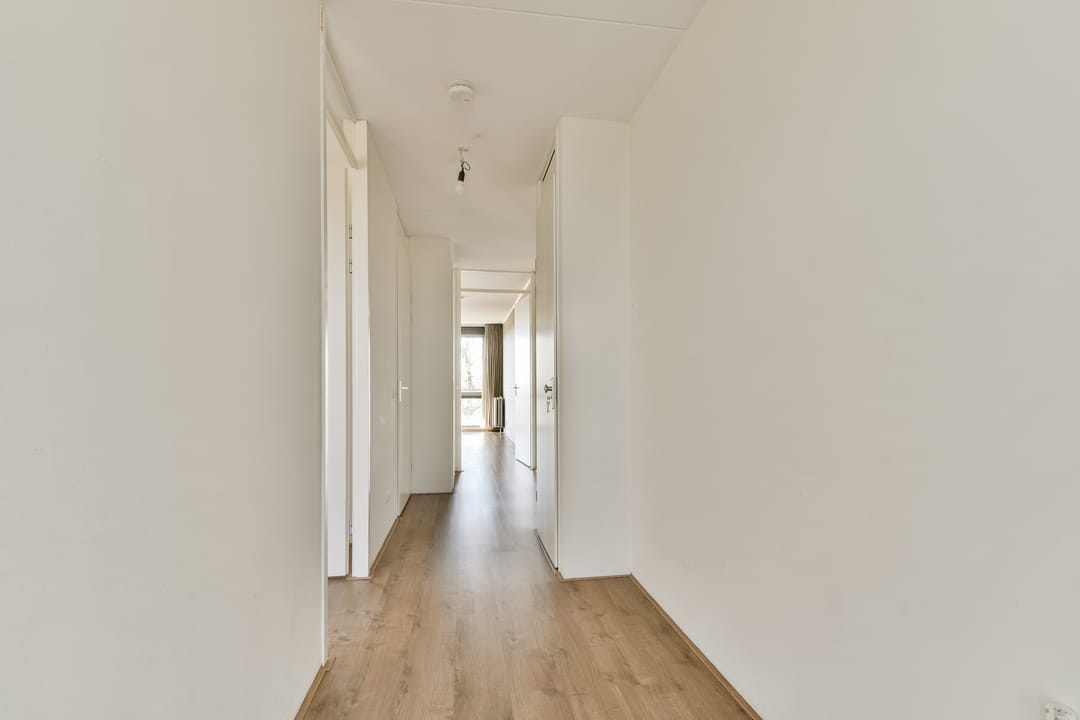 Foto 11 van Populier 36