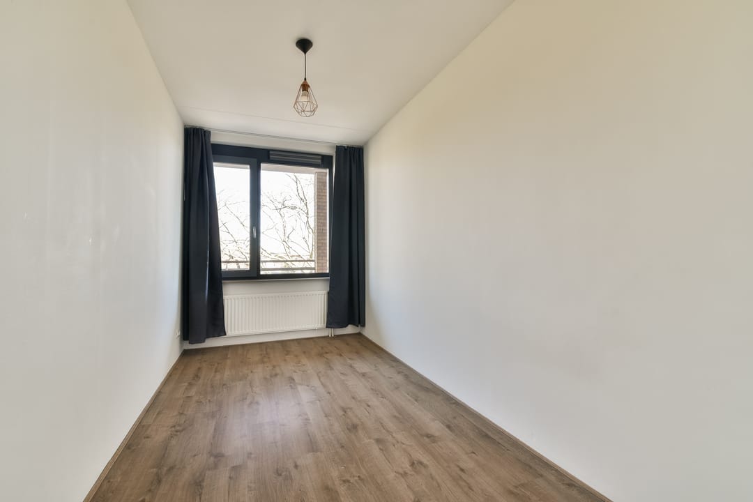 Foto 17 van Populier 36