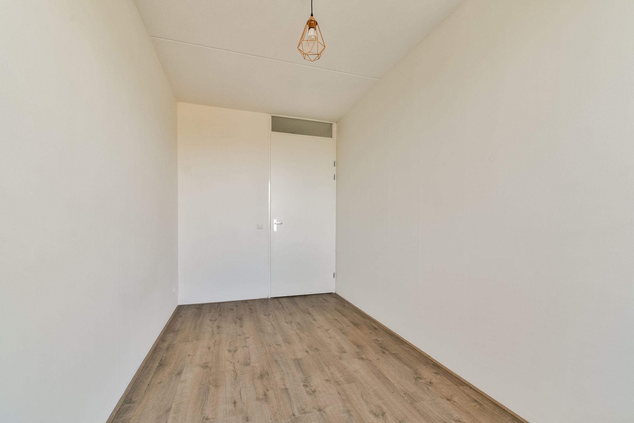 Foto 18 van Populier 36