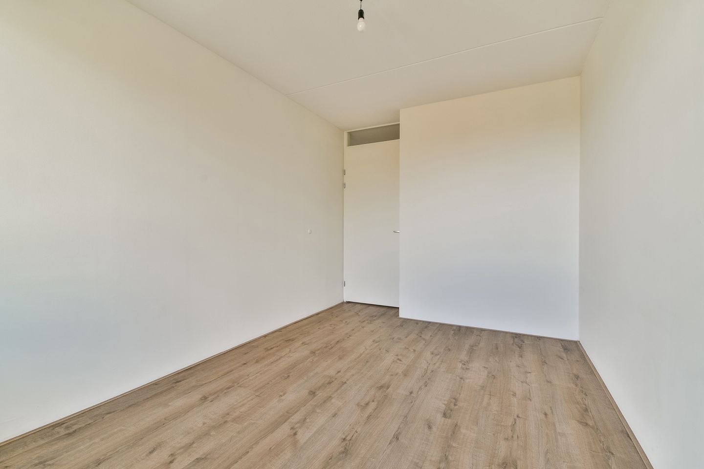 Foto 20 van Populier 36