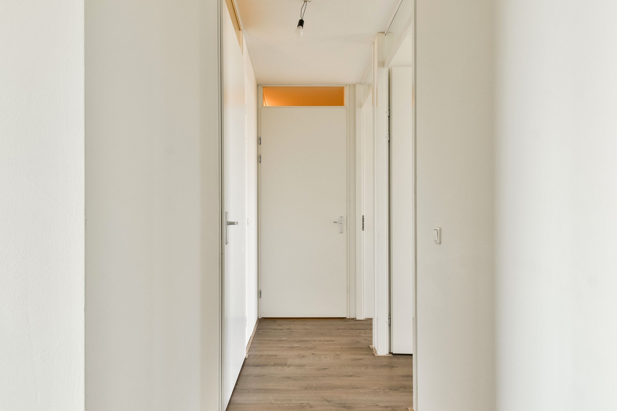 Foto 21 van Populier 36