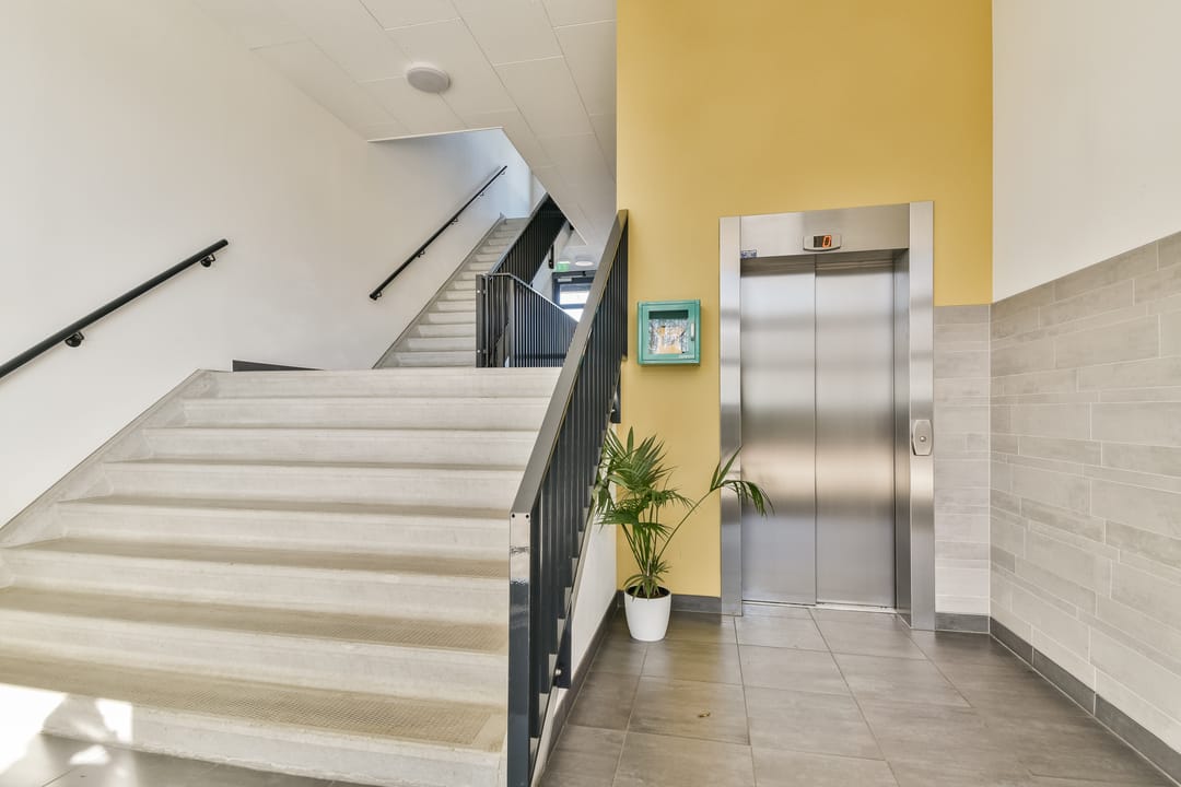 Foto 22 van Populier 36